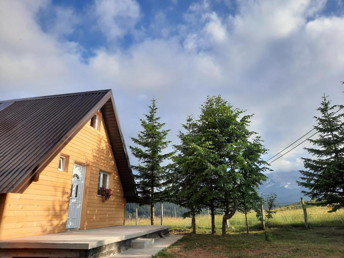 Vila Aleksandar Žabljak Buitenkant foto