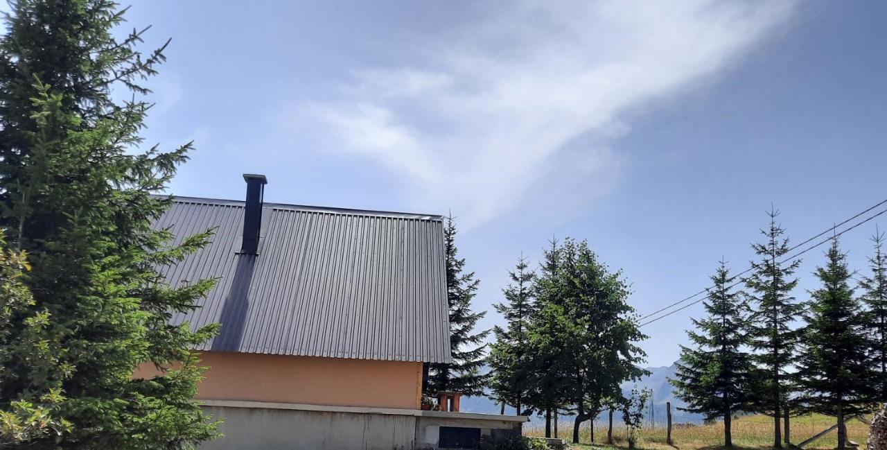 Vila Aleksandar Žabljak Buitenkant foto