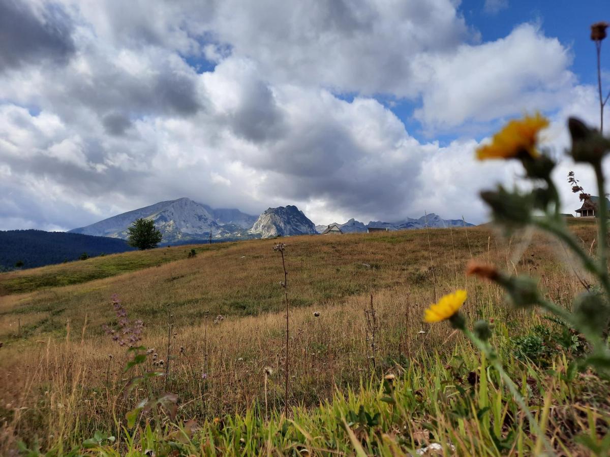 Vila Aleksandar Žabljak Buitenkant foto