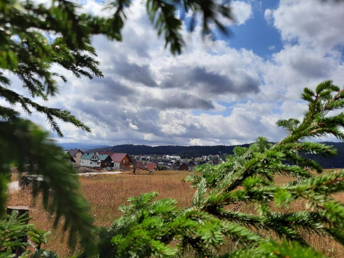 Vila Aleksandar Žabljak Buitenkant foto