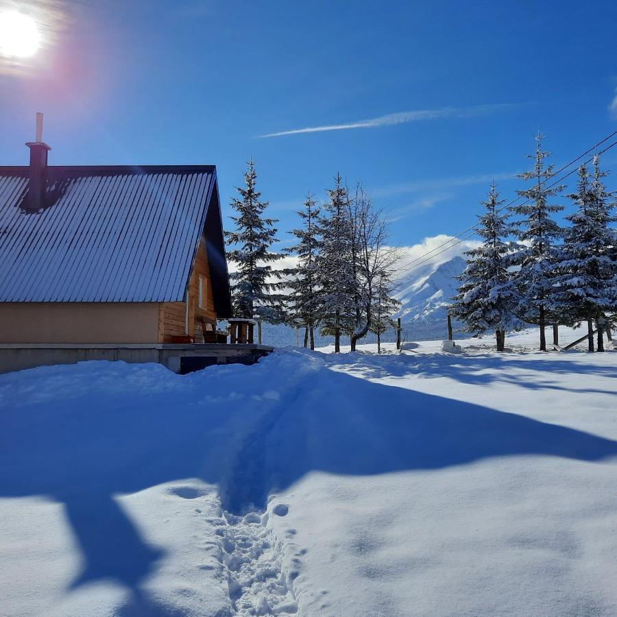 Vila Aleksandar Žabljak Buitenkant foto