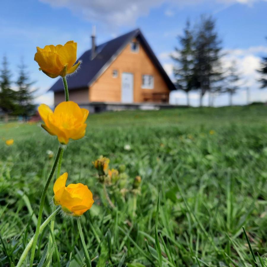 Vila Aleksandar Žabljak Buitenkant foto